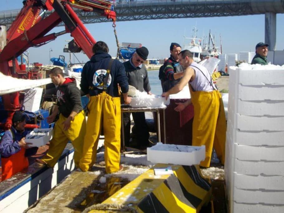 Casa Di Pipo - Appartamento Davanti Al Mare Pescara Esterno foto